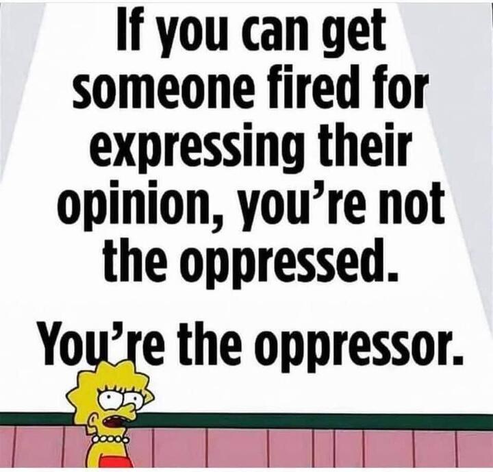 If you can get someone fired for expressing their opinion, …