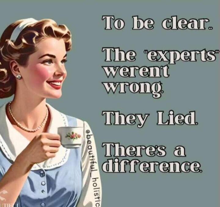 To be clear … the “experts” weren’t wrong. They lied.