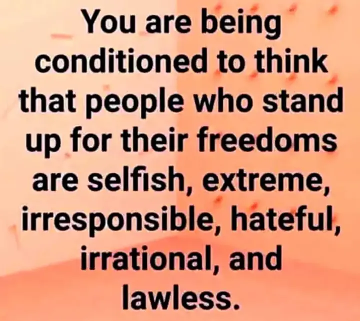 You are being conditioned to think that people who stand up for their freedoms are …