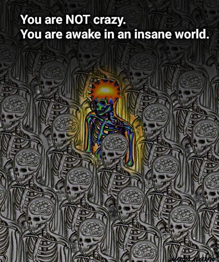 You are NOT crazy. You are awake in an insane world.